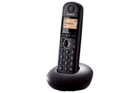 Belaidis telefonas Panasonic KX-TGB210FXB